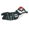 Downy Woodpecker Bird