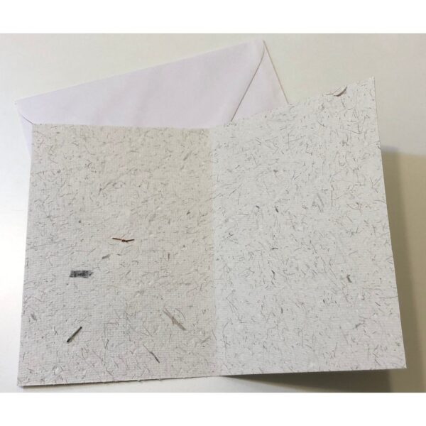 Greeting Card Inside