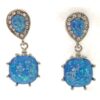 Silver Plated Earrings