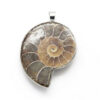 Pendant - Ammonite Vortex