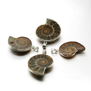 Pendant – Ammonite Vortex